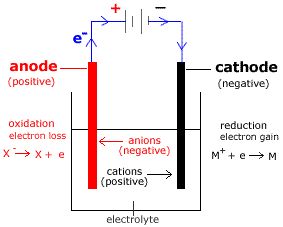 electrolytic cell